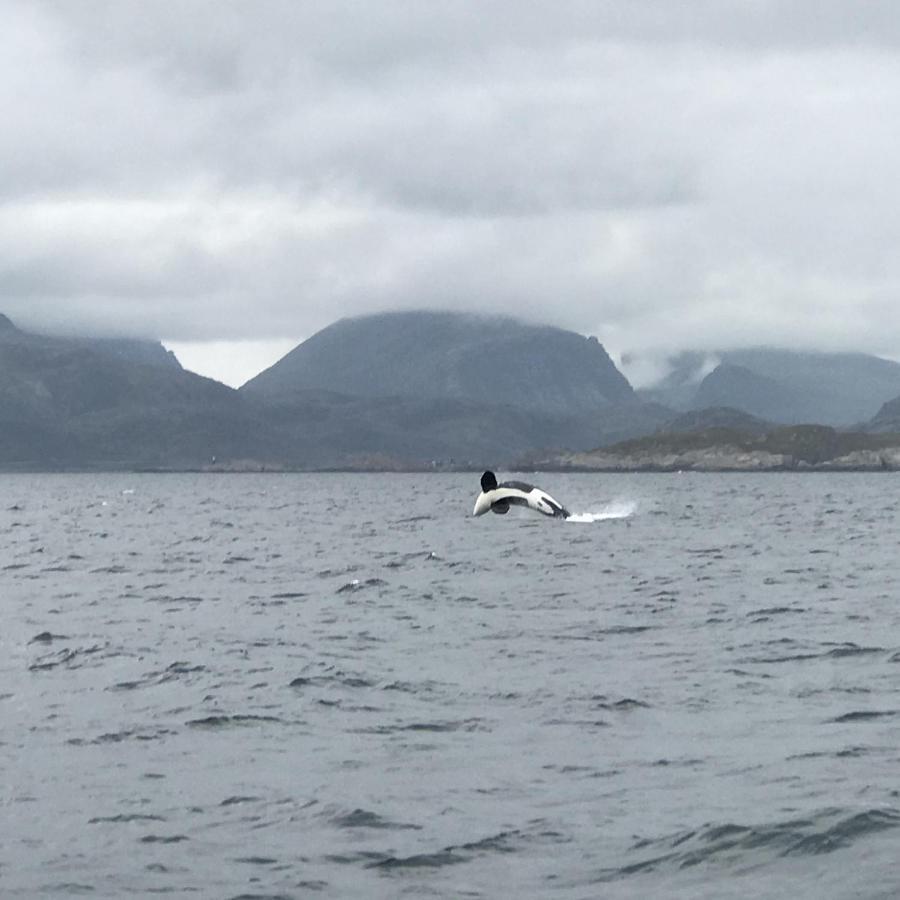 Fishermans Rorbu 1 - Lofoten Ramberg Exterior photo